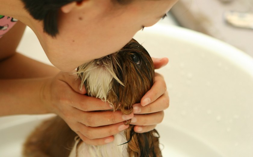 Cuidados essenciais para manter a higiene dos pets