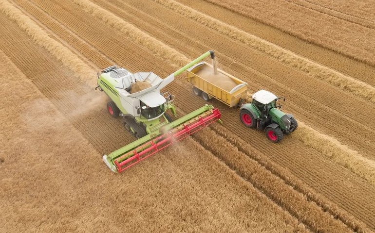 Ipea mantém previsão de crescimento do PIB agropecuário em 11,6% em 2023