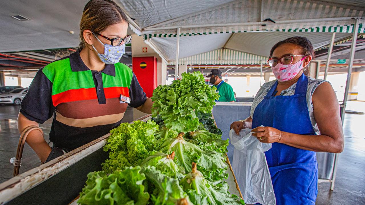 Feiras de alimentos orgânicos acontecem semanalmente em Arapiraca