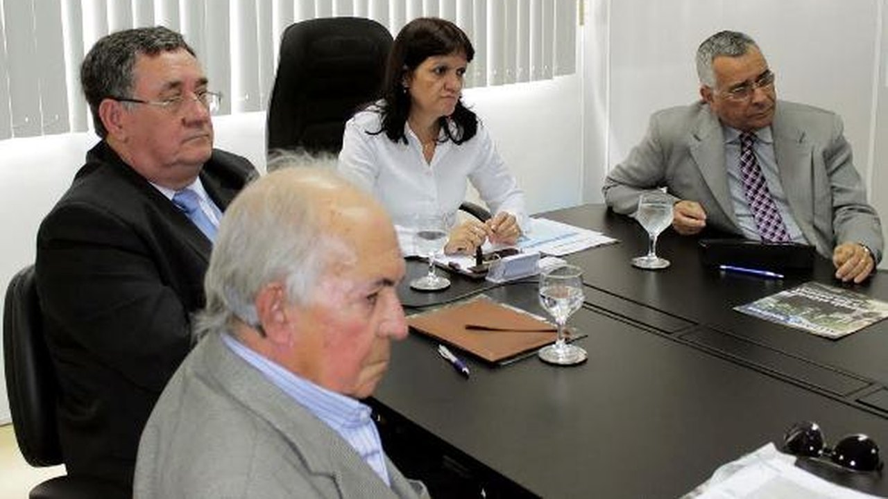 Conselho debate reajuste tarifário da energia elétrica em Alagoas