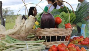 AGRICULTURA FAMILIAR ALIMENTAÇÃO COMIDA / Foto: Agência de Notícias Sergipe