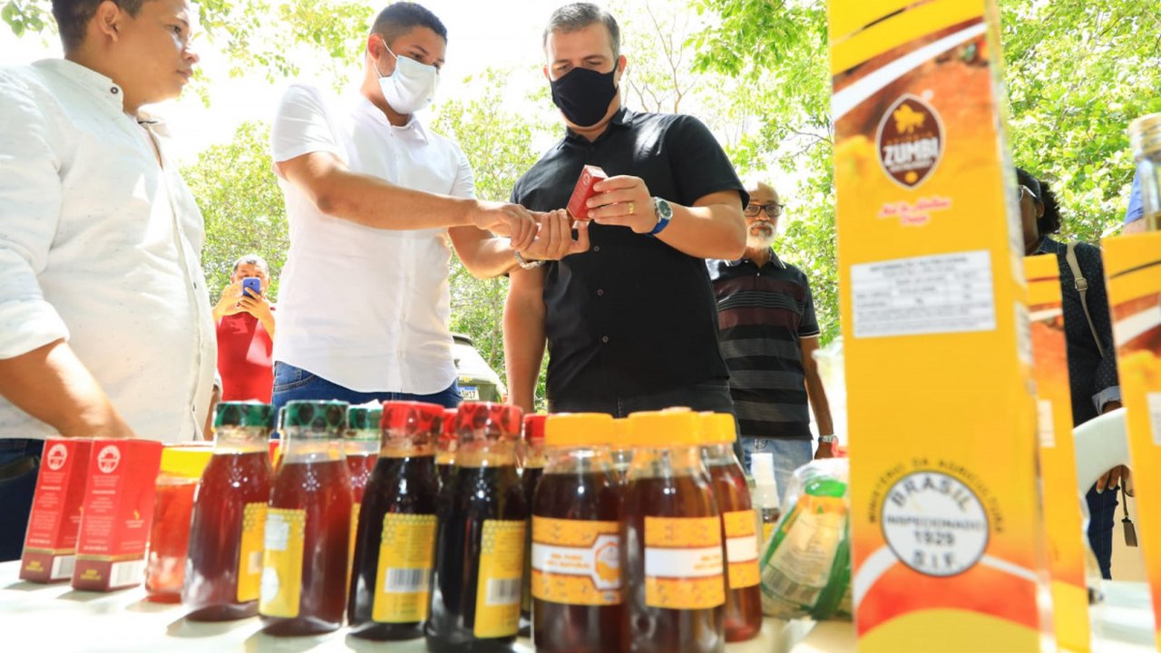 Em Roteiro, Maykon Beltrão participa do lançamento do Programa Estadual de Sanidade das Abelhas