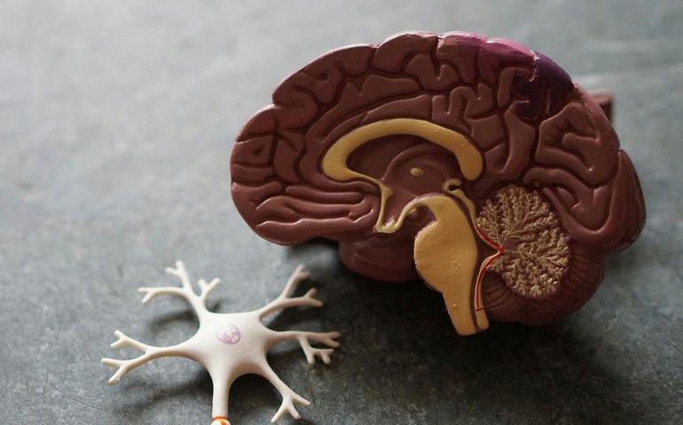 'Preservar a função cerebral e eliminar doenças': o que a neurocirurgia moderna pode fazer