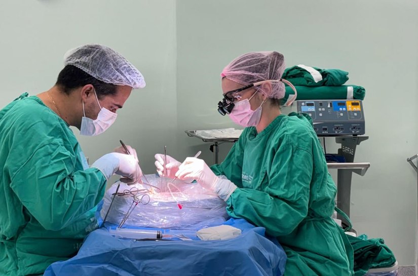 Hospital do Coração Alagoano realiza três transplantes no mesmo dia e transforma a vida de pacientes alagoanos