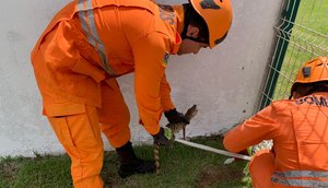 WhatsApp Image 2026-05-01 at 14.02.03 / Foto: Foto: CBM/SE