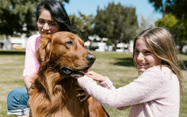 Prevenção veterinária transforma o cuidado com os pets no Brasil