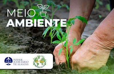 Eco Rede: servidores do TJAL podem se inscrever em cursos sobre sustentabilidade
