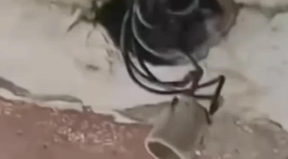 864c152b490fd69e6a203811b30bdda3952