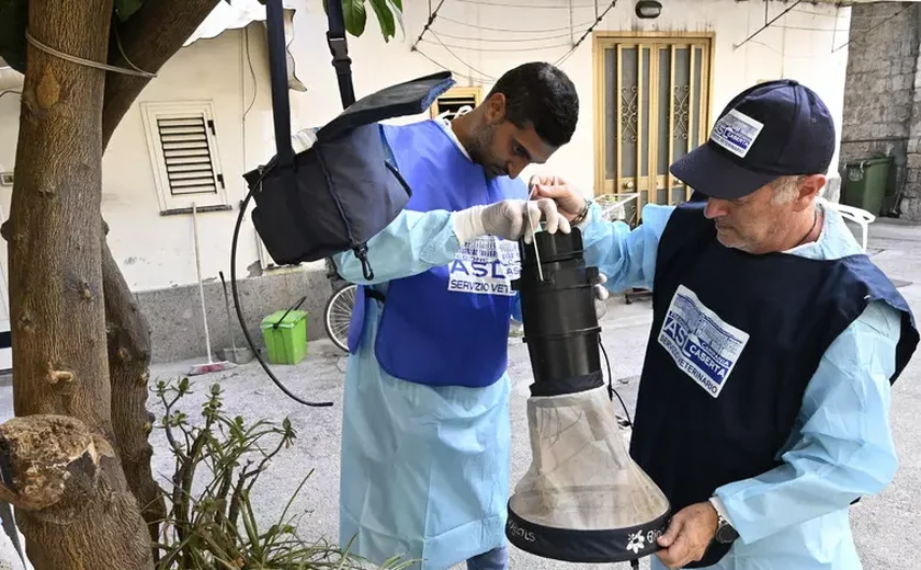Febre do Nilo Ocidental faz 15ª vítima na Itália em 2025