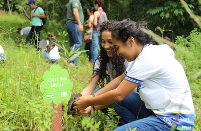 Mês do Meio Ambiente: A importância de combater a poluição causada pelo plástico