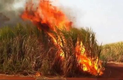 Eletrobras alerta para prejuízos de queimadas próximas à rede elétrica em Alagoas