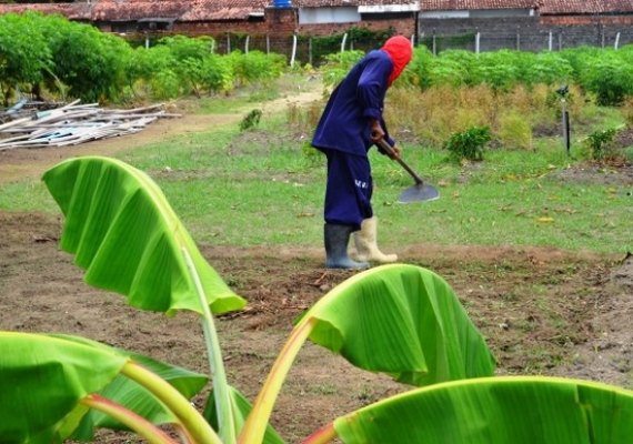 Reeducandos aperfeiçoam técnicas de cultivo e produção na horta