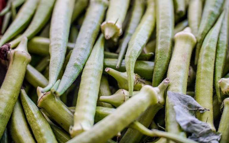 Garantia-Safra: veja lista dos que receberão pagamento em abril