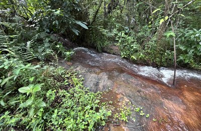 Rota do Cacau amplia ecoturismo e preservação ambiental em Matriz de Camaragibe