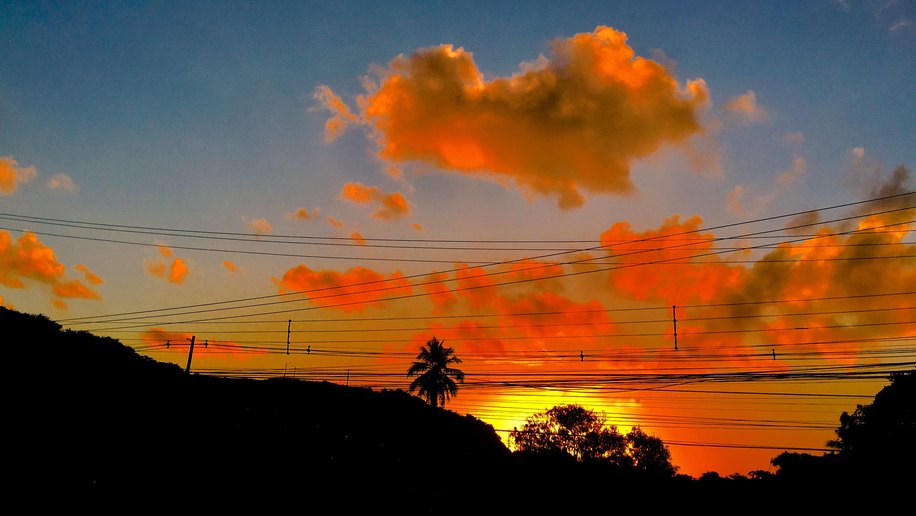 Como o Sol, a Vida