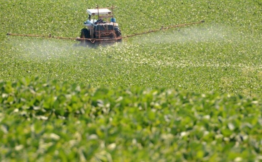 CTERS vota convite à Embrapa para discutir recuperação da agricultura no RS