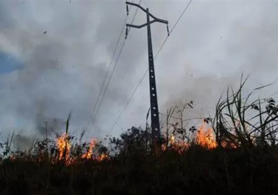Queimadas deixam mais de 165 mil clientes sem energia em Alagoas