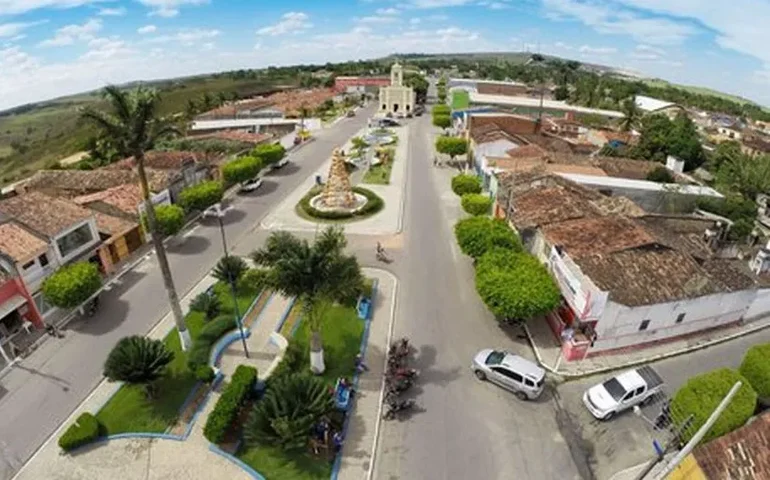 Idoso morre após ataque de abelhas na zona rural de Junqueiro