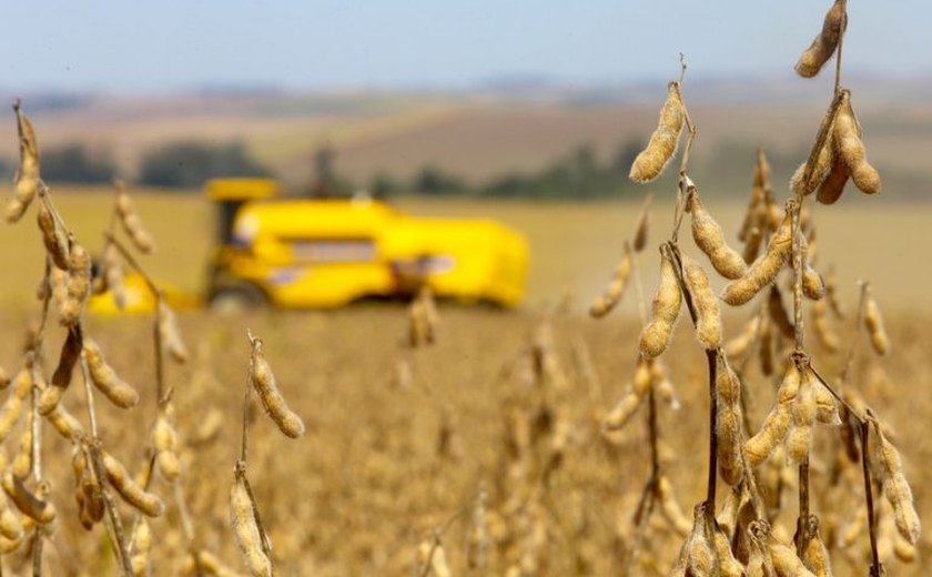 Medida provisória abre crédito orçamentário para agricultores gaúchos afetados pelas enchentes