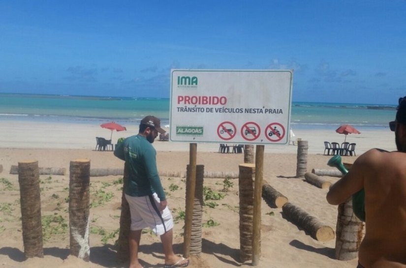 MP quer inquérito policial para apurar crime ambiental na Praia de Marceneiro