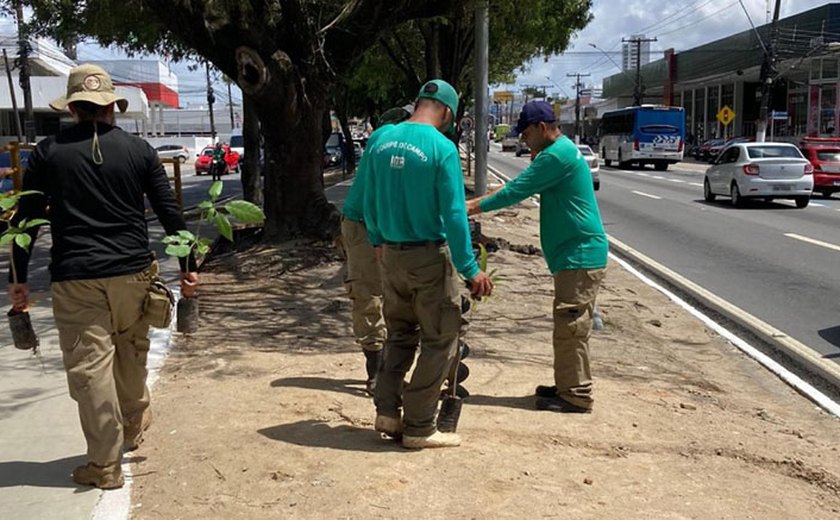 IMA replanta árvores nativas na Avenida Fernandes Lima