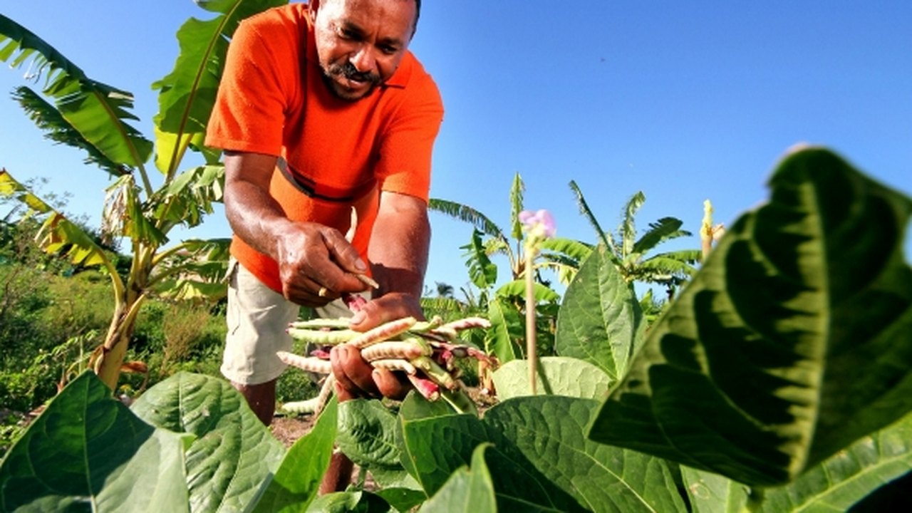 Projetos e crédito ficam mais próximos do pequeno produtor rural