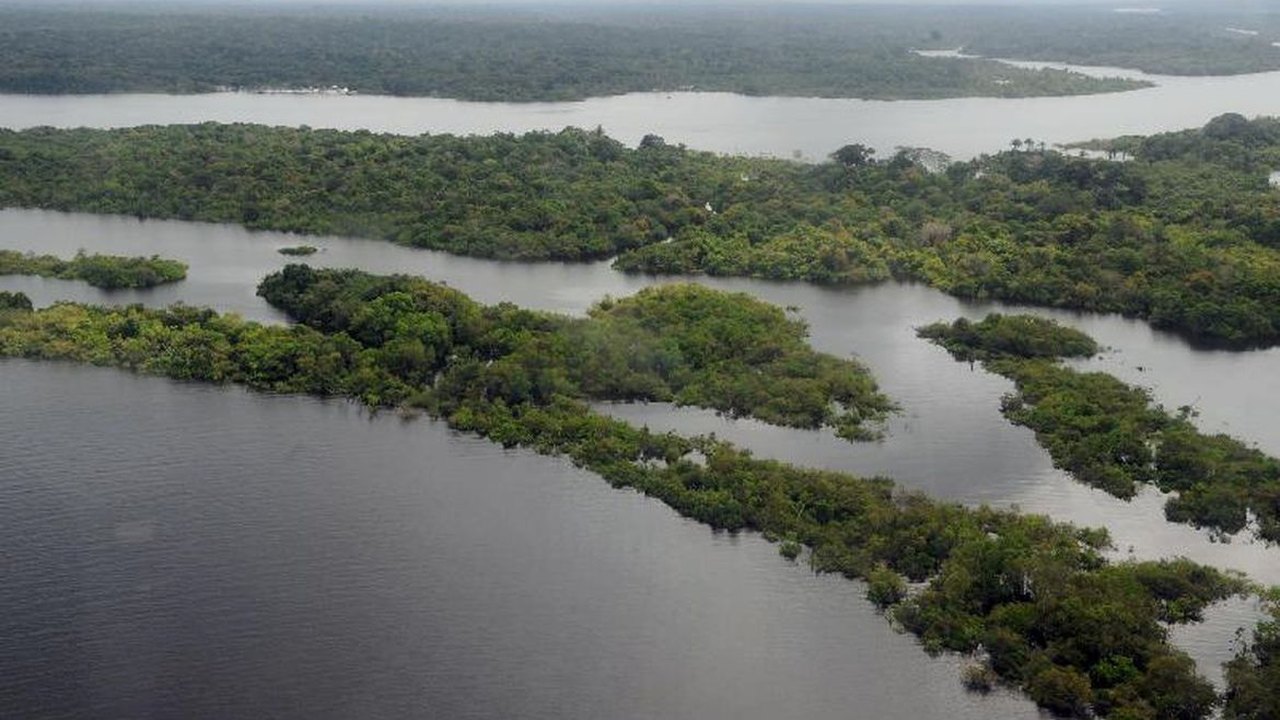 Brasileiro tem sentimento de vulnerabilidade ecológica e climática
