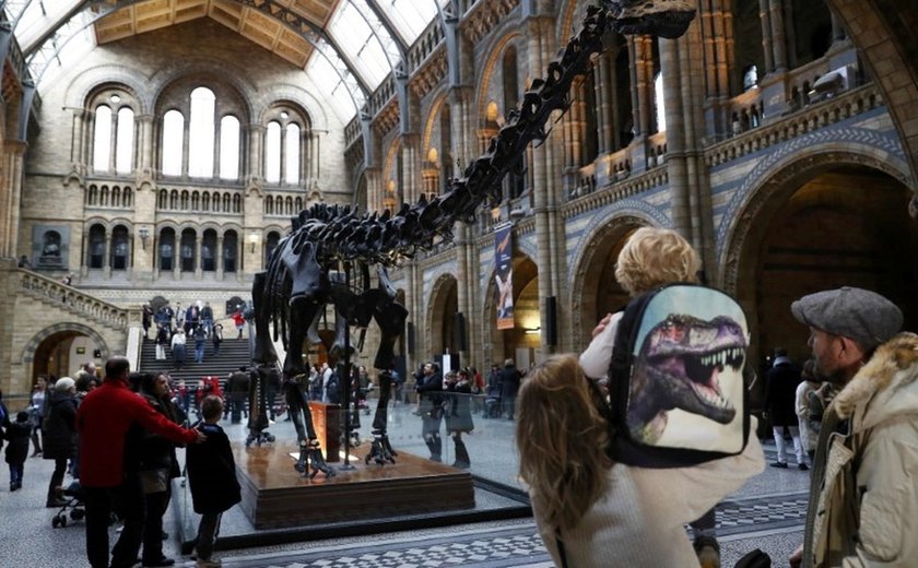 Museu de Londres se despede do dinossauro Dippy
