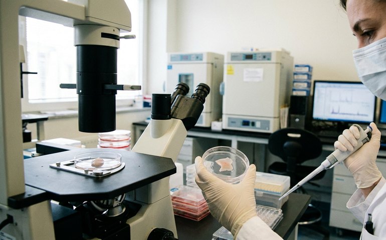 Terapia experimental regenera cartilagem afetada pela artrite e pode ajudar a evitar cirurgias