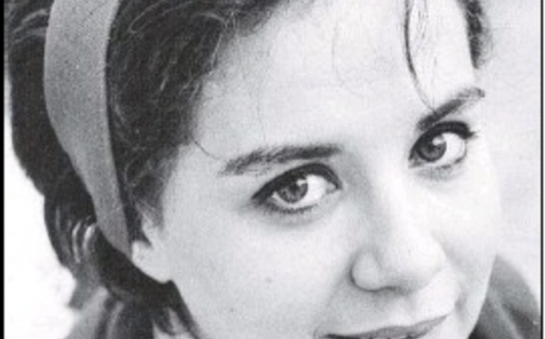 Livro resgata cantora que é aclamada, mas acabou preterida