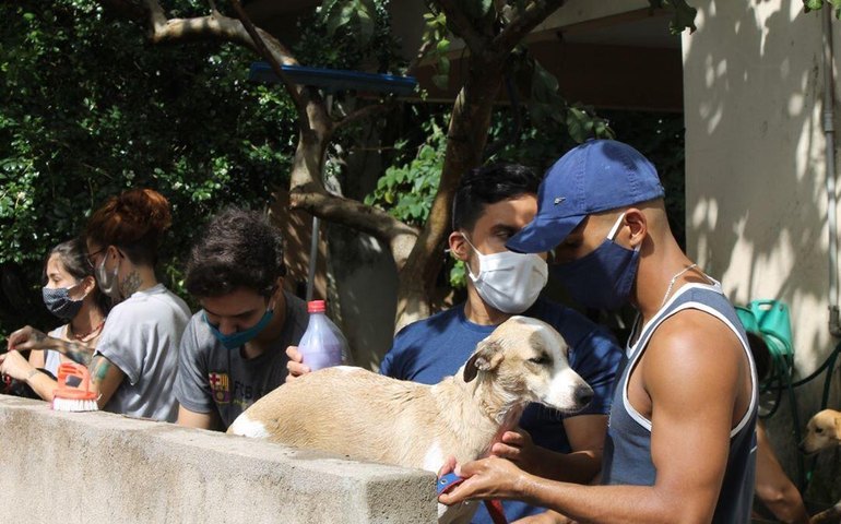 Abrigo São Cão promove feira de adoção neste sábado