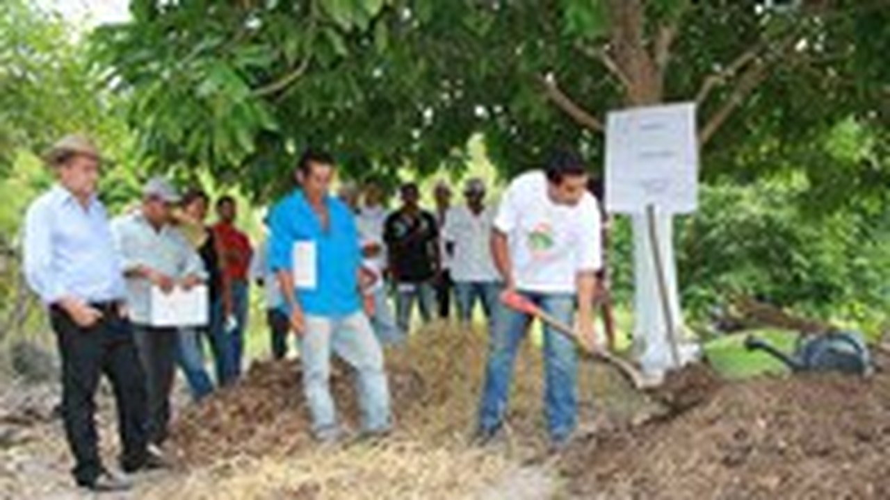 Dia de campo mostra que mercado de orgânicos está crescendo