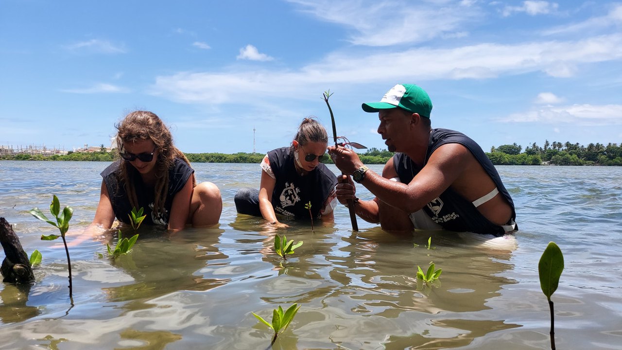Movimento Povos das Lagoas planta árvores em homenagem à vítimas fatais e sobreviventes da Covid-19