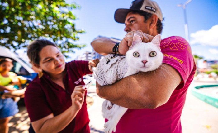 Vacinação de cães e gatos é única proteção contra a raiva animal
