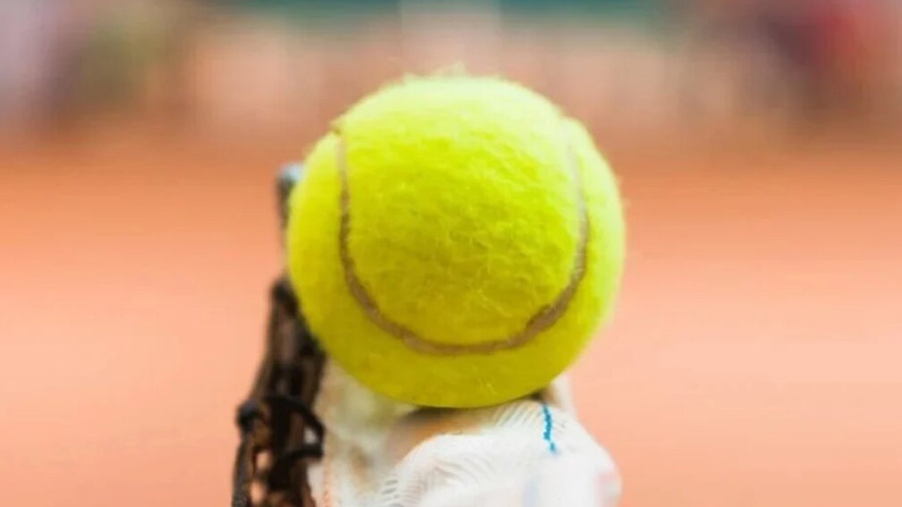 ATP, WTA e ITF prolongam suspensão do calendário do tênis até o final de julho