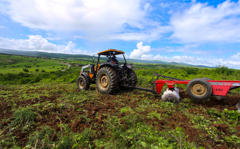 Prefeitura de Traipu concede auxílio emergencial a agricultores e produtores da agricultura familiar