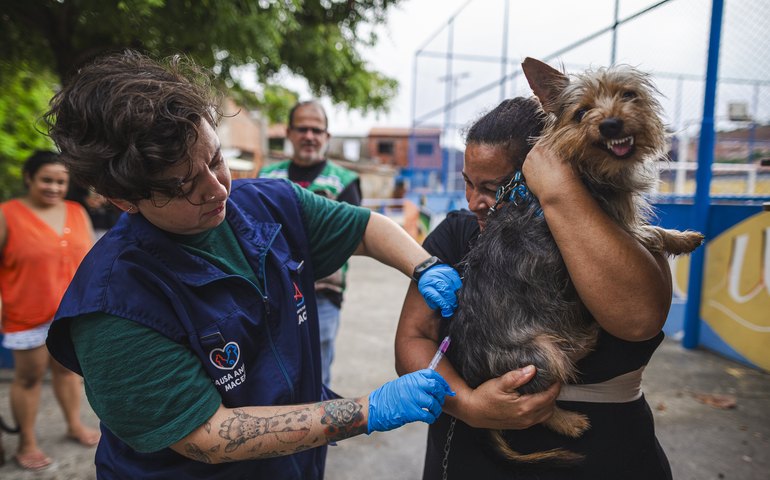 Força-tarefa da Prefeitura de Maceió atua na proteção de pessoas e animais em áreas de risco