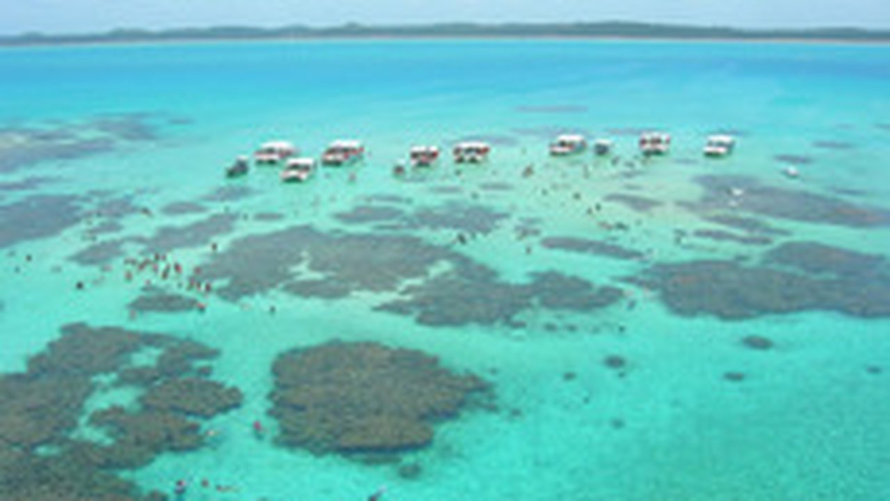 Praia do Litoral Norte de Alagoas vai do cenário natural ao nacional