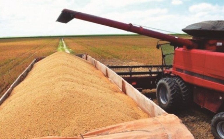Conab: 1ª estimativa para safra 2021/22 indica recorde de 288,61 milhões de t
