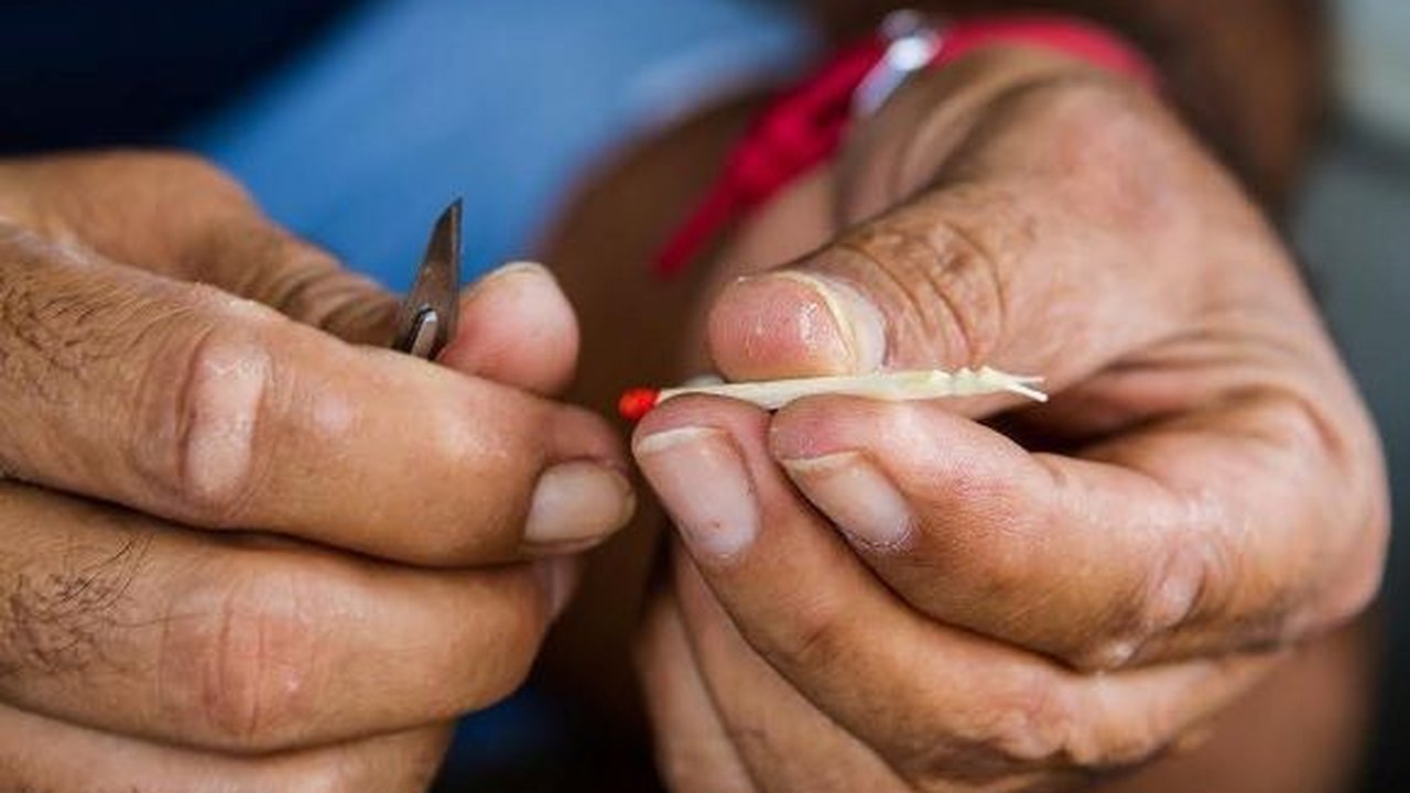 Semana reserva diversas ações em benefício do artesão alagoano