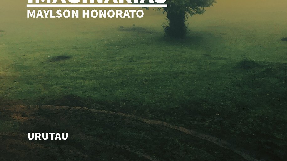 Jornalista alagoano Maylson Honorato estreia na ficção com ‘Bromélias Imaginárias’; livro está em pré-venda