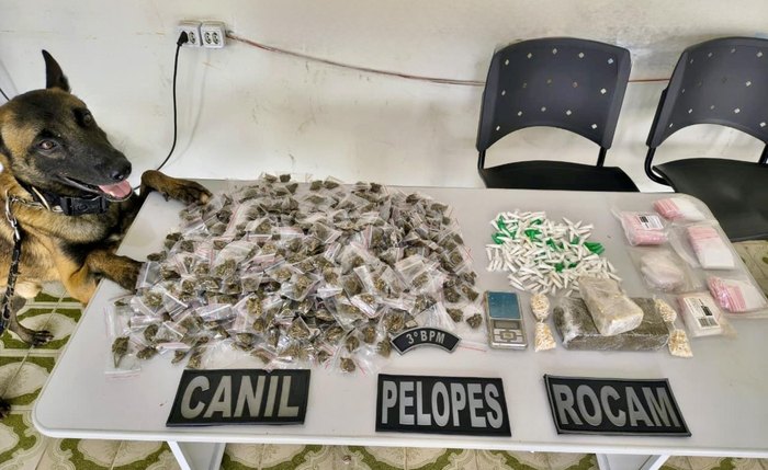 Entorpecentes como maconha, crack e cocaína foram as maiores apreensões da PM no mês de março