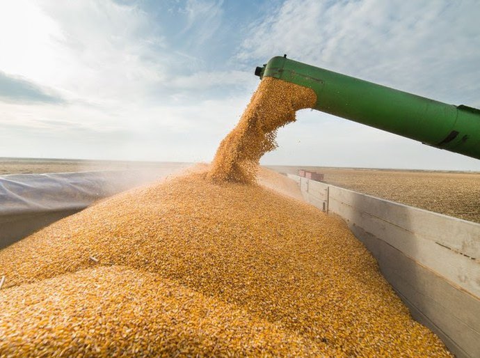 Brasil atinge novo recorde na safra de grãos, com 346,1 milhões de toneladas em 2025