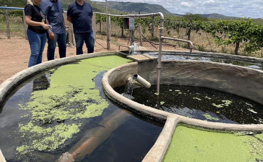 Seagri conhece programa de criação de peixe em recirculação de água para piscicultores familiares