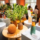 Alagoas conquista segundo lugar nacional no Prêmio Sebrae TOP 100 de Artesanato