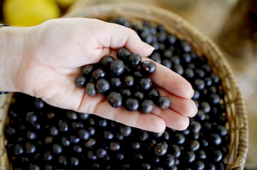 Desenvolve libera recurso para expansão da rede alimentícia Açaí Concept