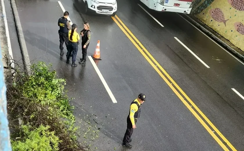 Trânsito é parcialmente interditado na Leste-Oeste após uma Árvore cair