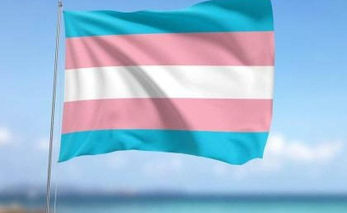 Bandeira da luta transexual