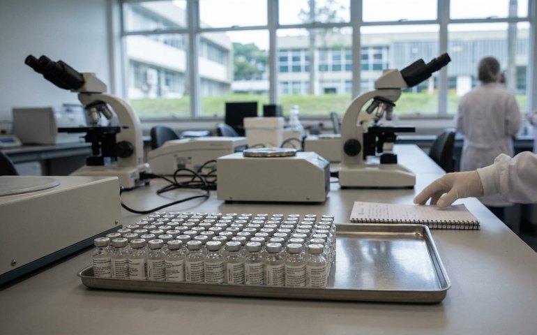 Veja o que se sabe sobre a suspensão temporária da vacina contra a dengue do Butantan