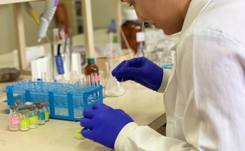 Pesquisa apoiada pela Fapeal revisa potencial agroquímico de moléculas naturais com baixa toxicidade